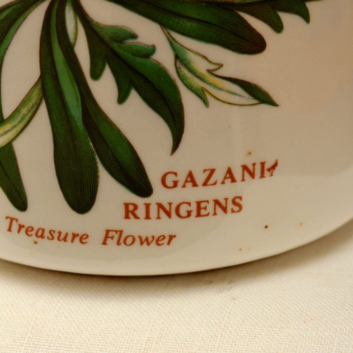Vintage Portmeirion Botanic Garden Airtight Storage Jar – Gazania Ringens