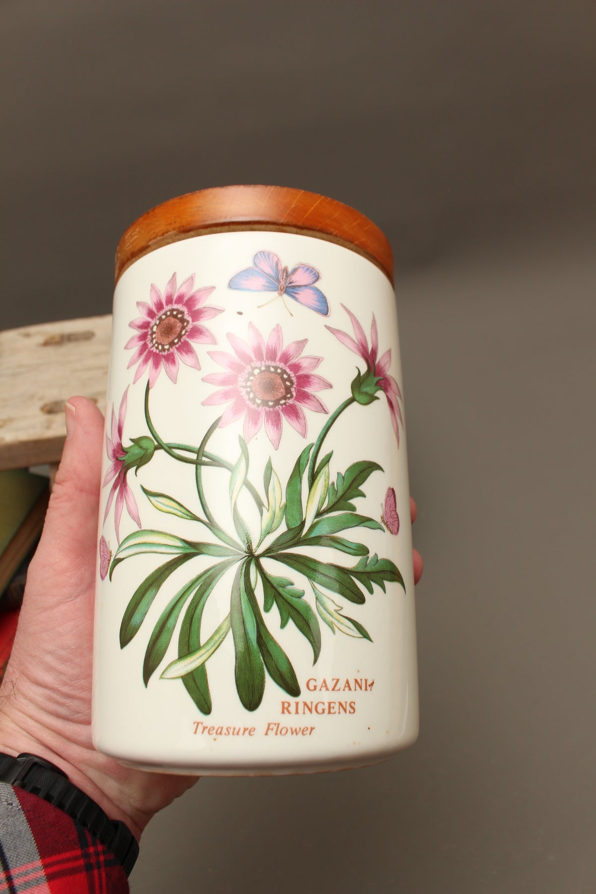 Vintage Portmeirion Botanic Garden Airtight Storage Jar – Gazania Ringens