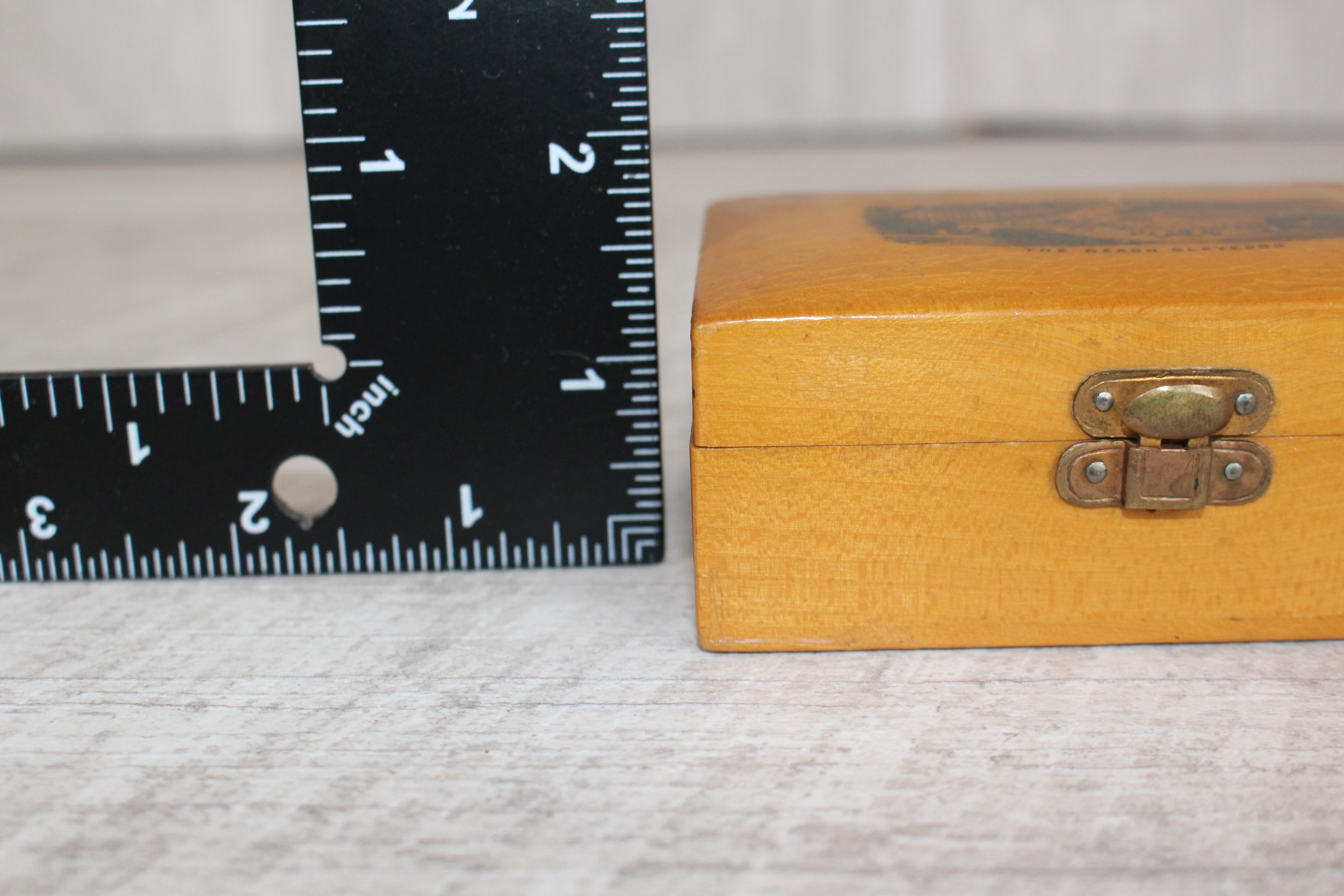 Antique Mauchline Ware Wooden Box "The Beach Clevedon" Good Blue Lining & Clasp