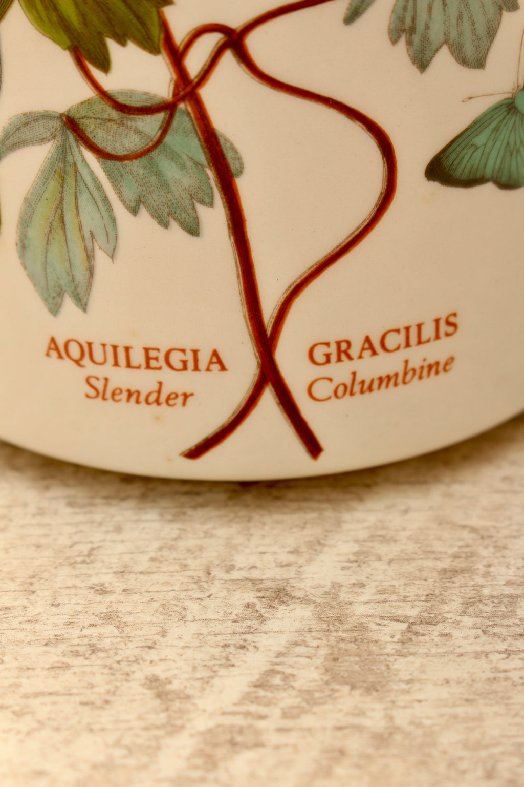 Vintage Portmeirion Botanic Garden Storage Jar Canister - Aquilegia Columbine