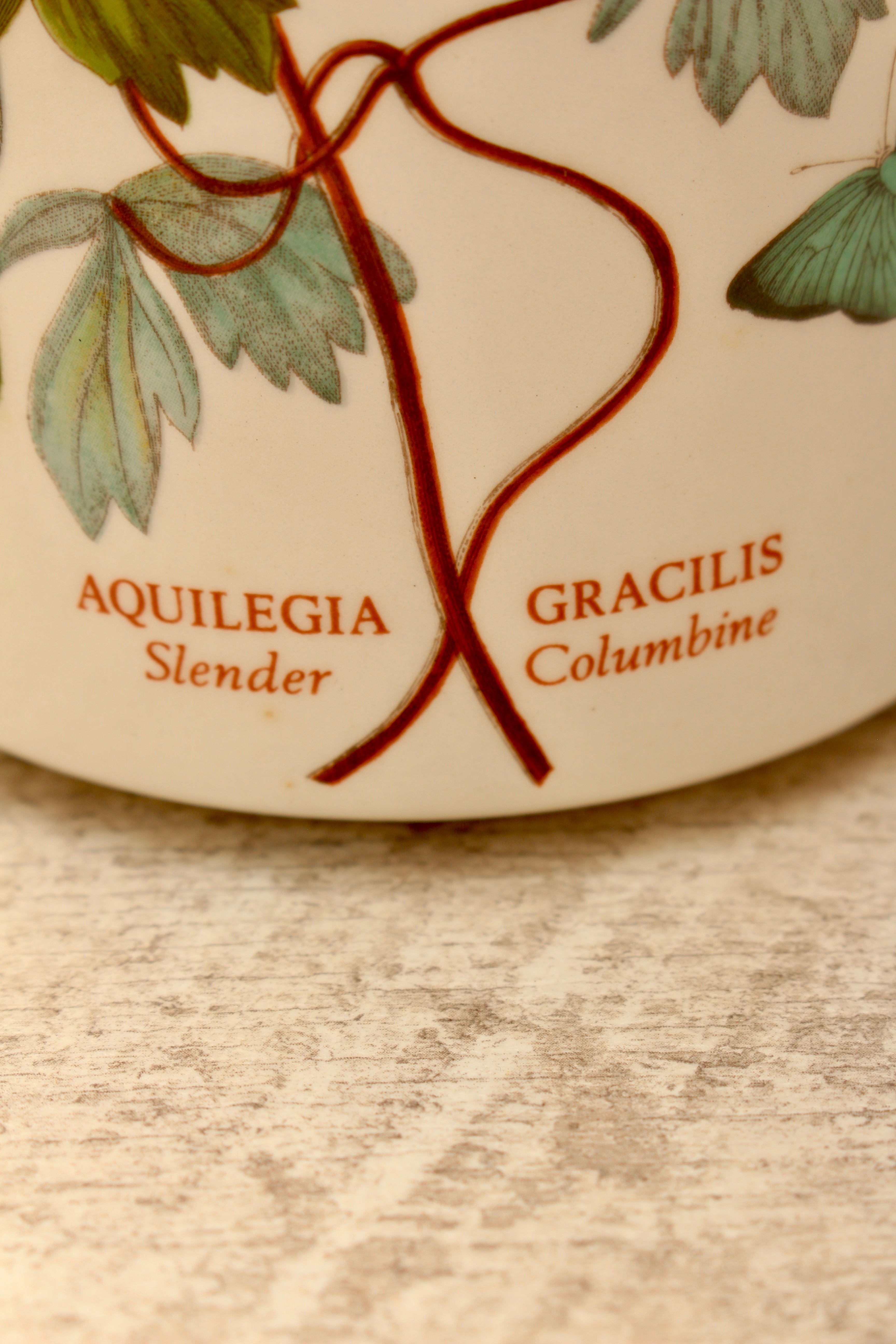 Vintage Portmeirion Botanic Garden Storage Jar Canister - Aquilegia Columbine