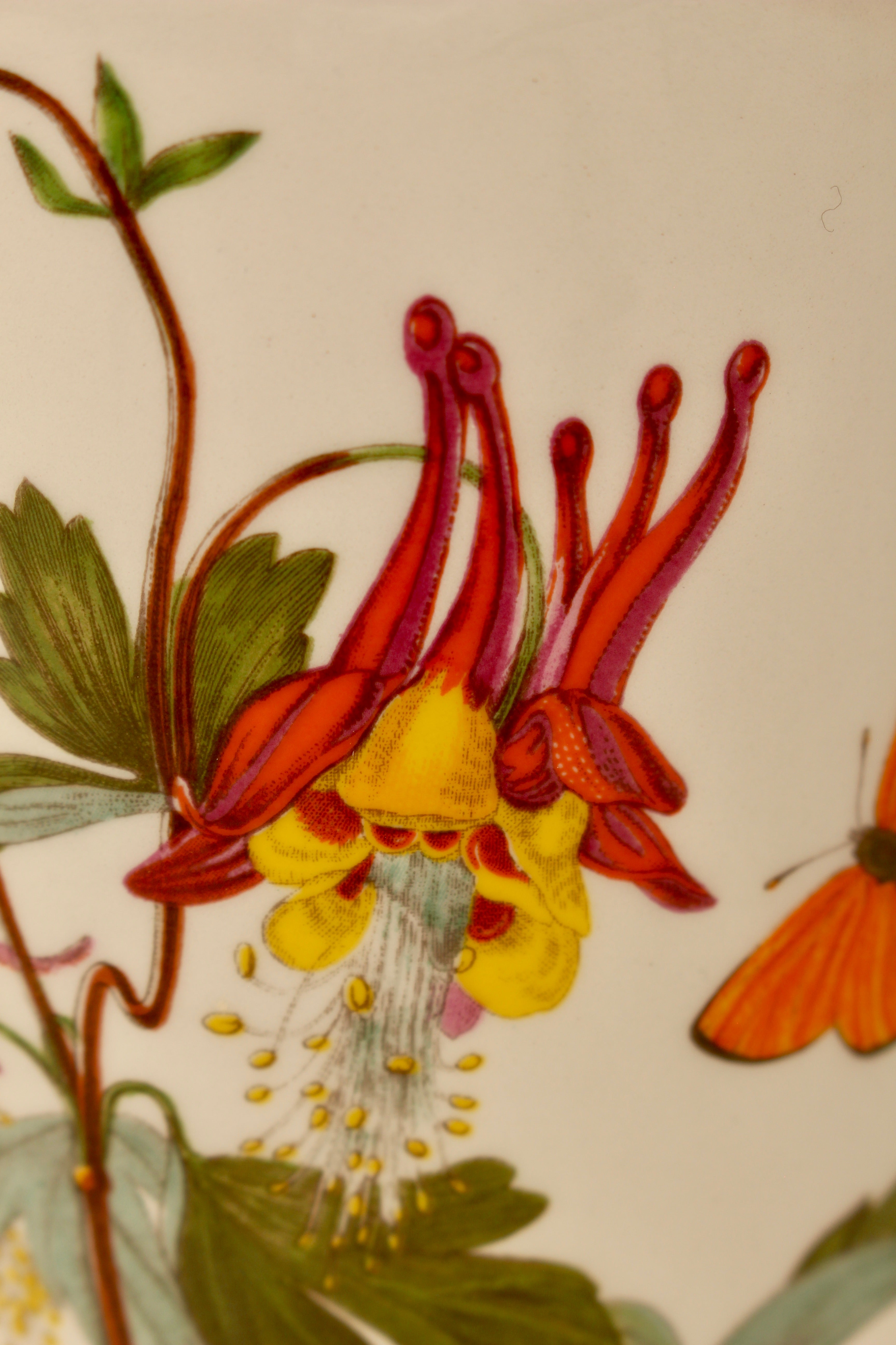 Vintage Portmeirion Botanic Garden Storage Jar Canister - Aquilegia Columbine