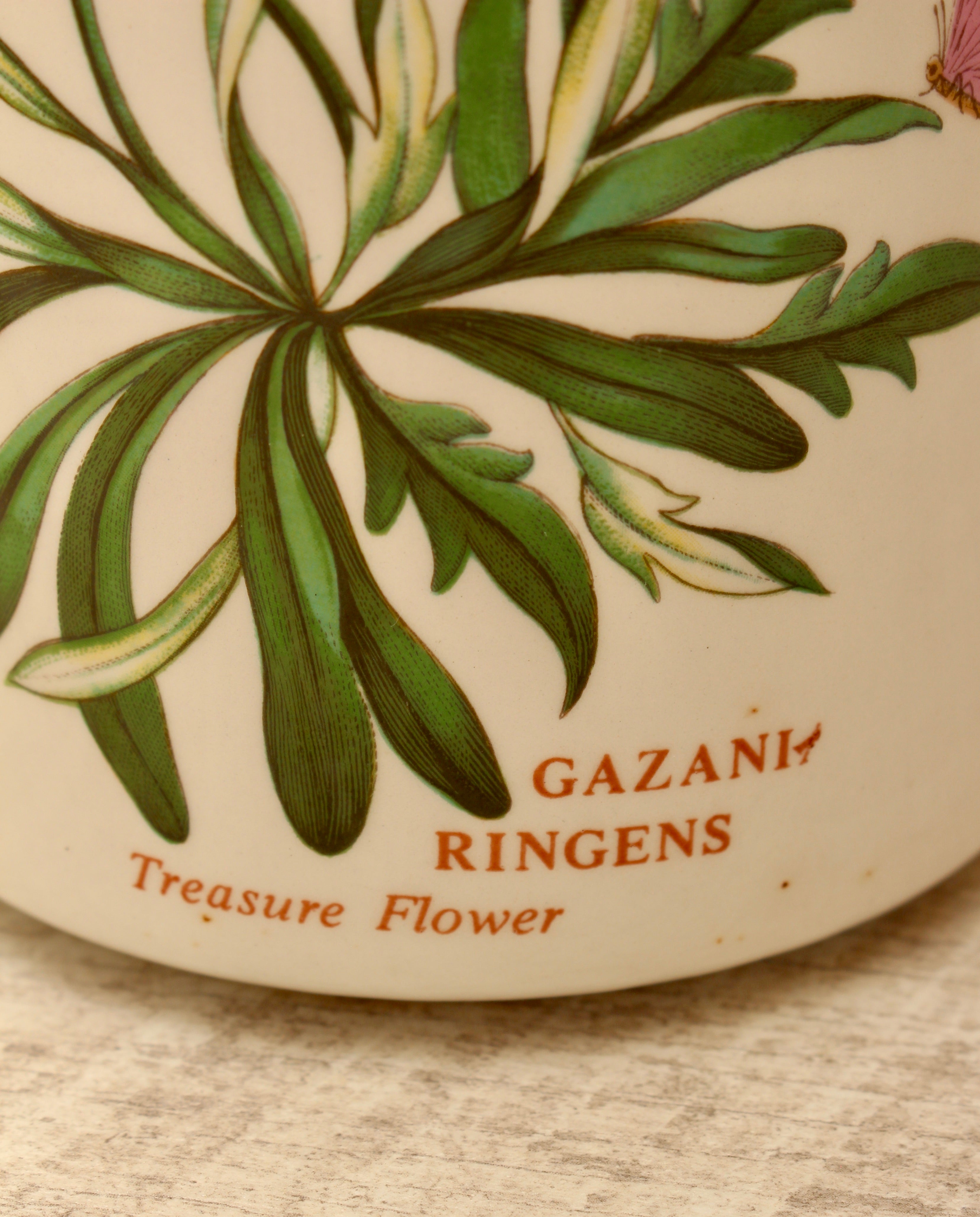 Vintage Portmeirion Botanic Garden Storage Jar Canister - Gazania Treasure Flower