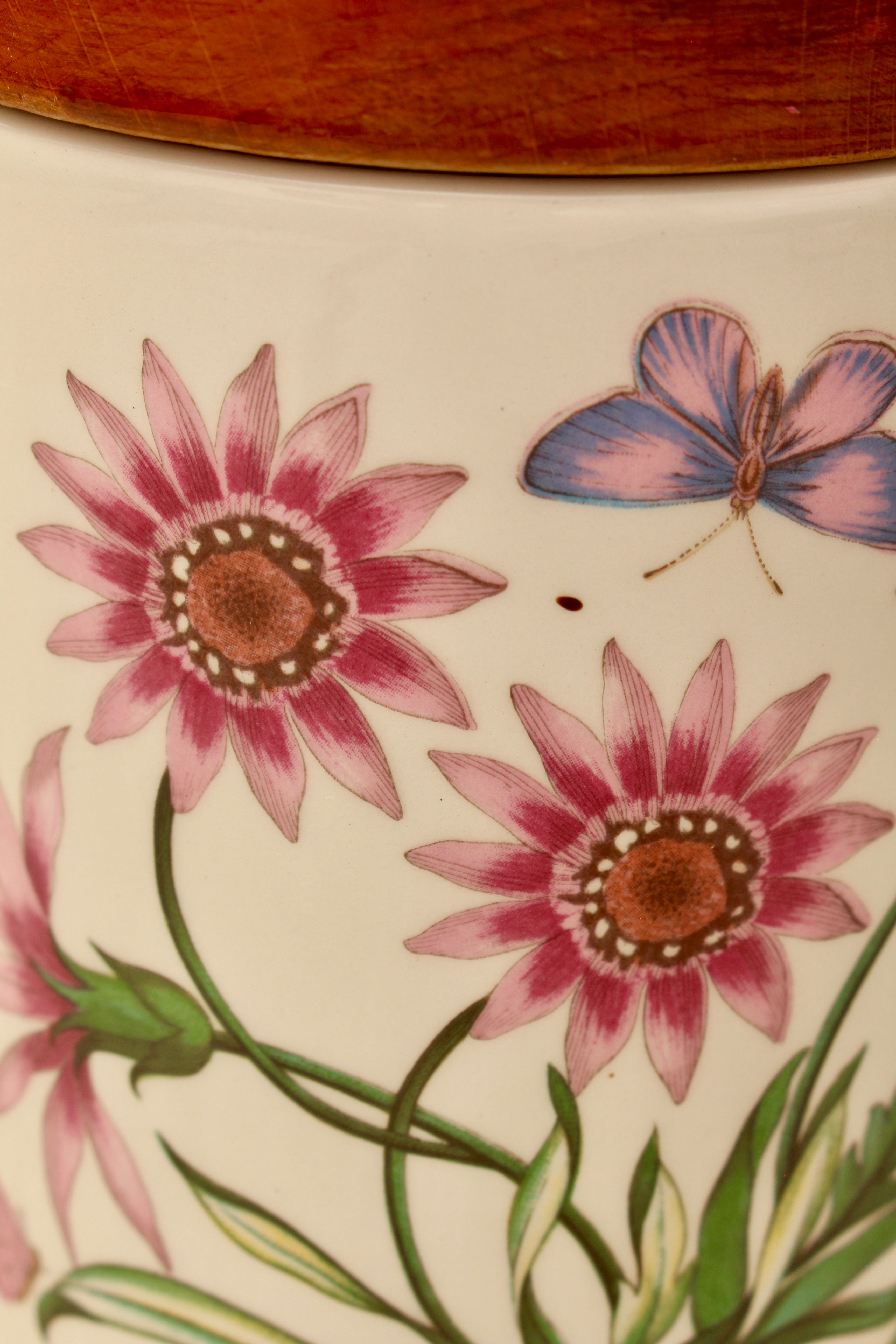 Vintage Portmeirion Botanic Garden Storage Jar Canister - Gazania Treasure Flower
