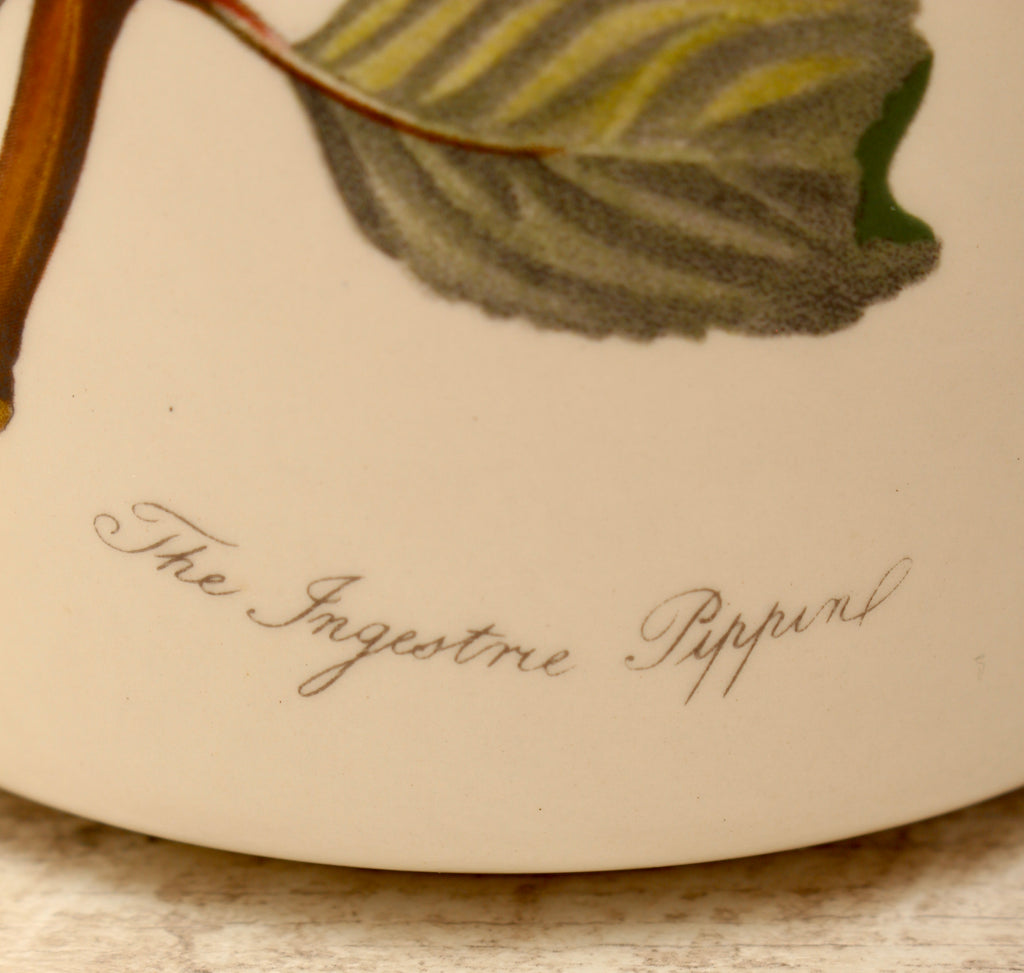 Vintage Portmeirion Pomona Storage Jar Canister - The Ingestrie Pippin