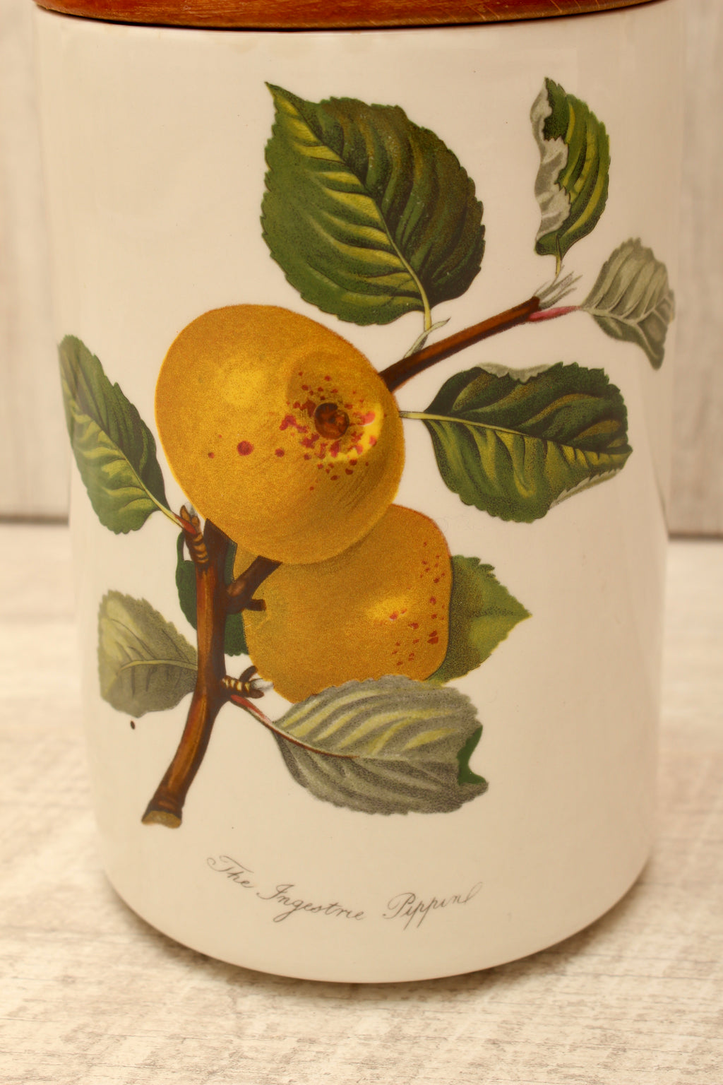 Vintage Portmeirion Pomona Storage Jar Canister - The Ingestrie Pippin
