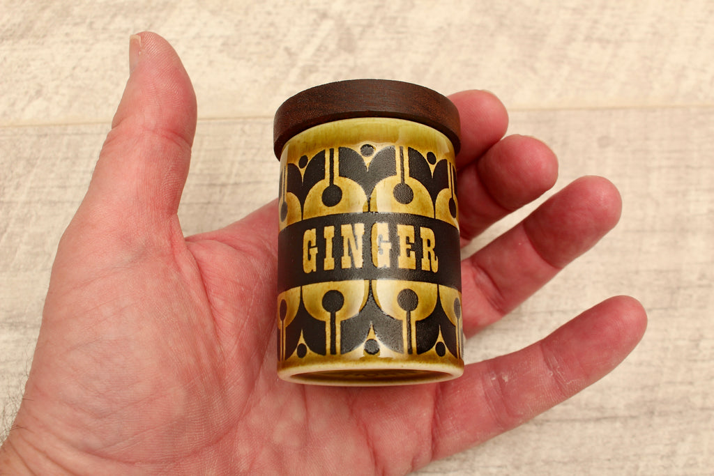 Vintage Hornsea Green Heirloom Spice Jar Ginger Replacement Pot 1970s
