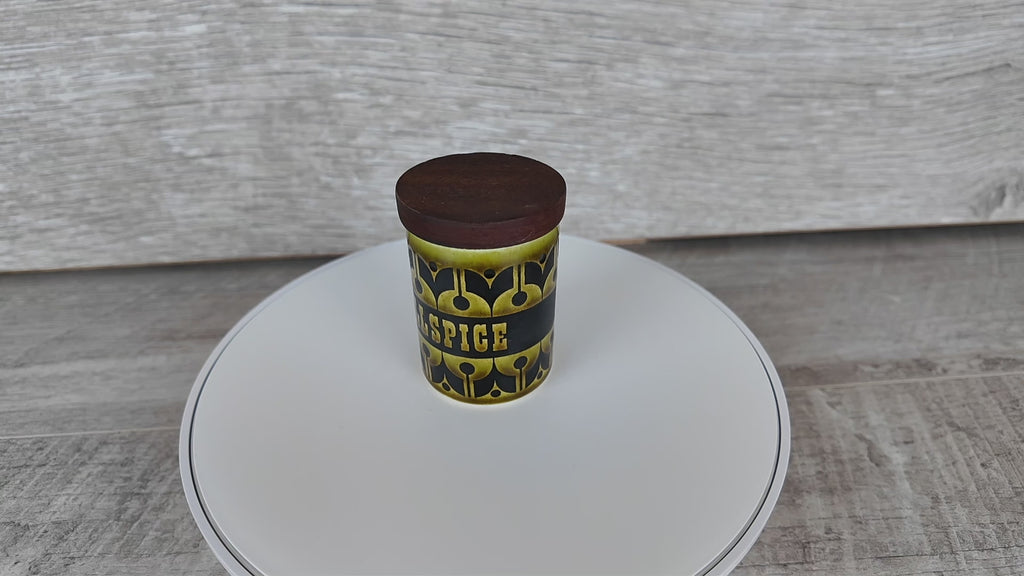 Vintage Hornsea Green Heirloom Spice Jar Allspice Replacement Pot 1970s